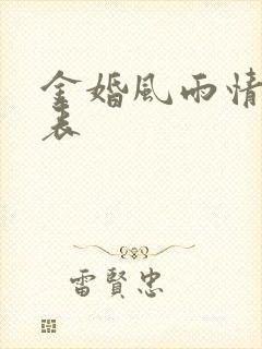 金婚风雨情演员表封面