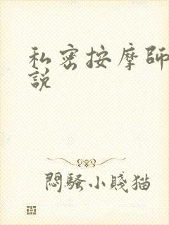 私密按摩师 小说封面