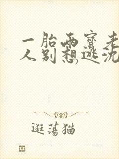 一胎两宝老婆大人别想逃沈蔓歌有几个孩子封面
