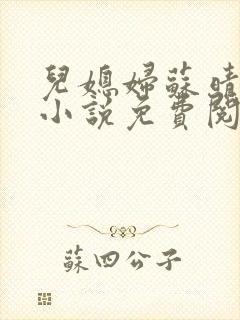 儿媳妇苏晴公公小说免费阅读封面