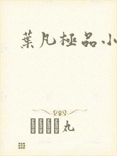 叶凡极品小姨封面