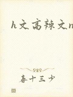 h文高辣文np