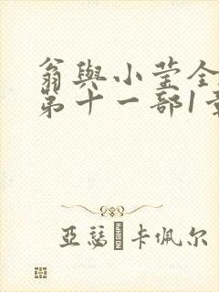 翁与小莹全目录第十一部1章