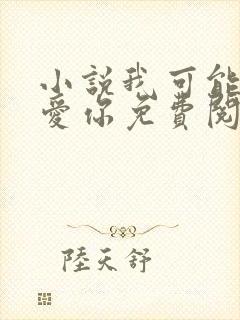 小说我可能不会爱你免费阅读