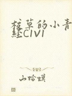 校草的小青梅不经C1V1封面