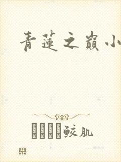 青莲之巅小说