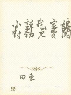 小说我家娘子不对劲免费阅读免费