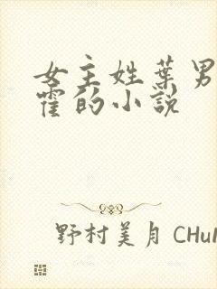 女主姓叶男主姓霍的小说