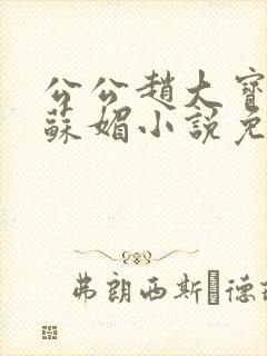 公公赵大宝儿媳苏媚小说免费阅读
