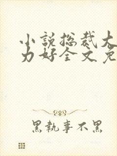小说总裁大人体力好全文免费阅读封面