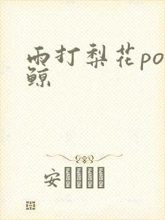 雨打梨花po问鲸