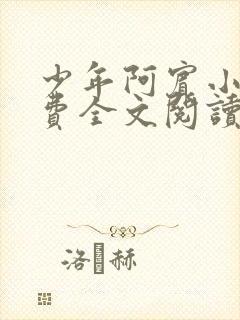 少年阿宾小说免费全文阅读无删减