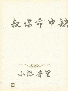 叔你命中缺我