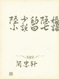 陆少的隐婚罪妻小说白七诺