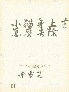小猫身上有跳蚤怎么去除
