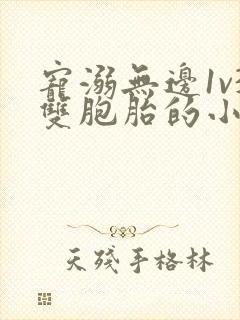 宠溺无边1v3双胞胎的小说