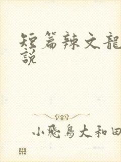 短篇辣文龙腾小说