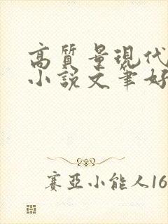 高质量现代言情小说文笔好