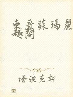 东哥苏玛丽 笔趣阁封面
