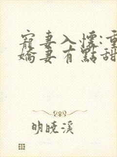 宠妻入怀:重生娇妻有点甜