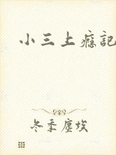 小三上瘾记封面