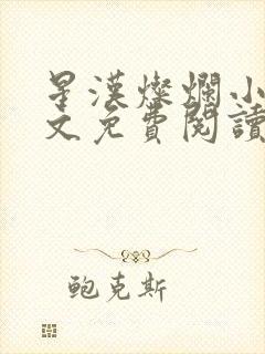 星汉灿烂小说全文免费阅读