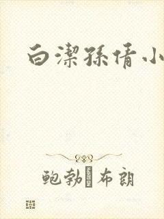 白洁孙倩小说封面