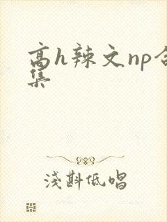 高h辣文np合集