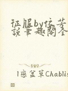 征服by依芳小说笔趣阁全文阅读