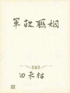 军政联姻封面