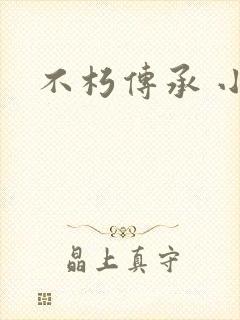 不朽传承 小说