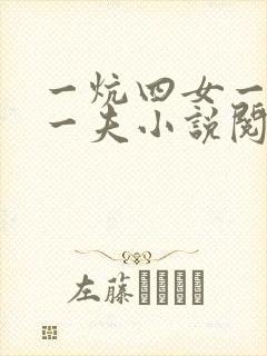一炕四女一共侍一夫小说阅读