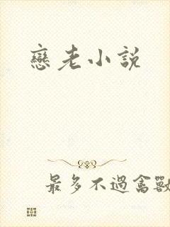 恋老小说
