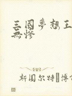 三国梦想王元姬无惨封面