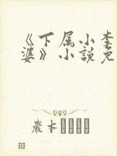《下属小李的老婆》小说免费阅读