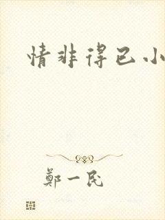 情非得已小说