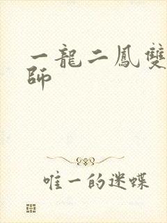一龙二凤双飞老师