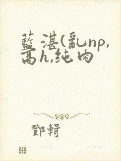 蓝湛(乱np,高h,纯肉