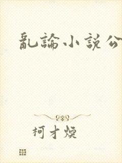 乱论小说公公