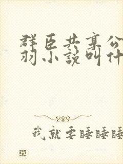 群臣共享公主银羽小说叫什么