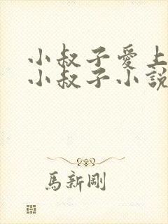 小叔子爱上嫂子小叔子小说免费阅读