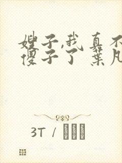 嫂子,我真不是傻子了 叶凡