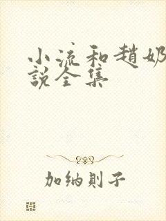 小流和赵奶奶小说全集