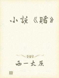 小说《赌》封面