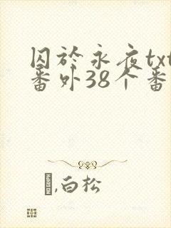 囚于永夜txt番外38个番外