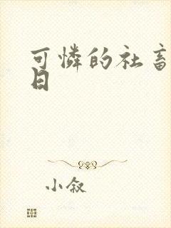 可怜的社畜东度日