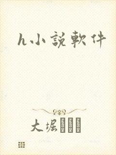 h小说软件
