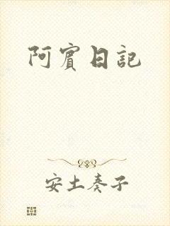阿宾日记封面