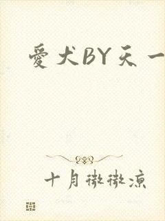 爱犬BY天一