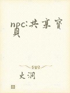 npc:共享宝贝封面
